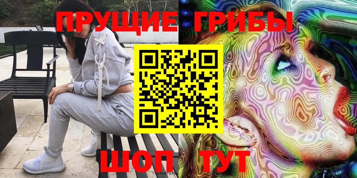 Янаул  Галлюциногенные грибы Psilocybine cubensis  Вход с VPN 